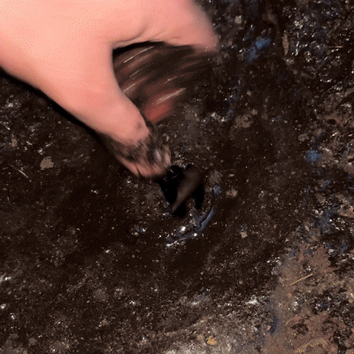 Dirt